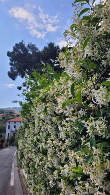 Vista Bella House Apartman San Remo Kültér fotó